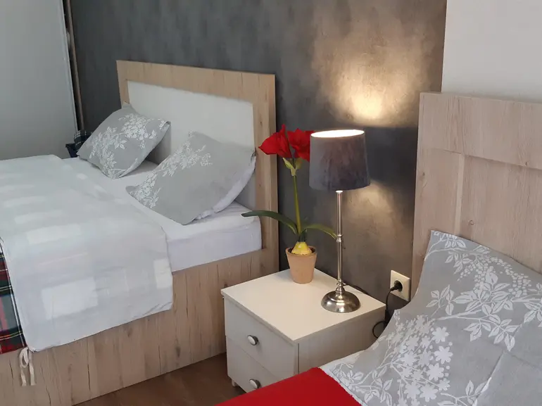 2 room apartment for rent in bakuriani