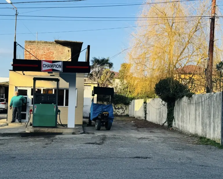 Special commercial area for sale in senaki