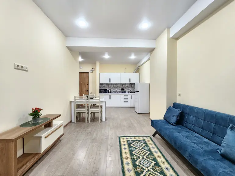 2 room apartment for rent in didi digomi