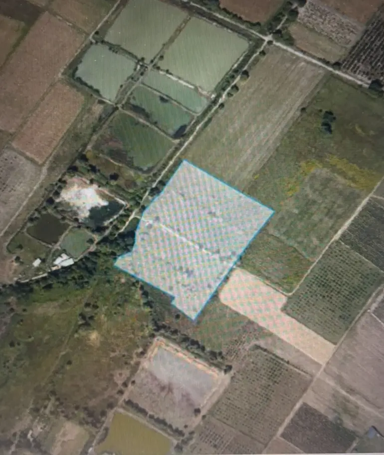 Agricultural plot for sale in telavi