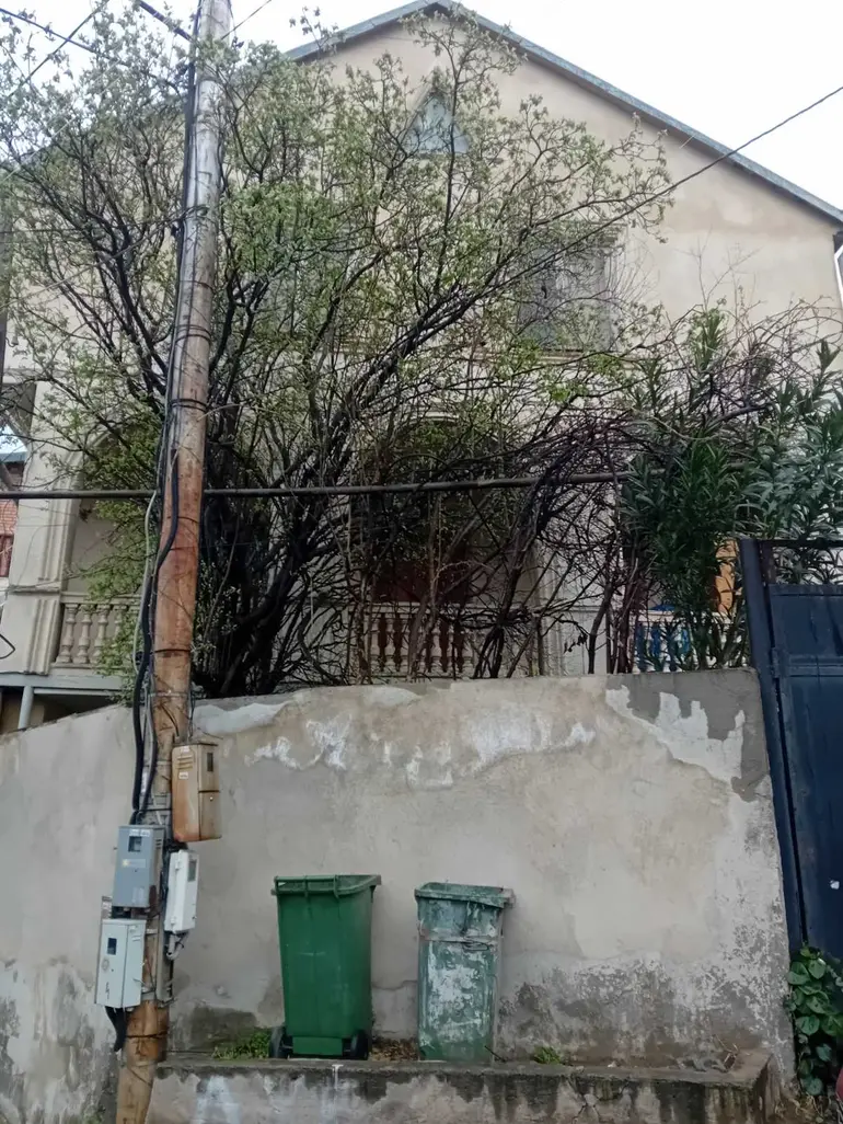 statment-img-0.4598528981778609