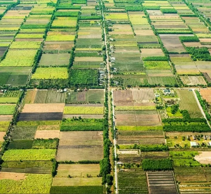 Agricultural plot lease in mtskheta