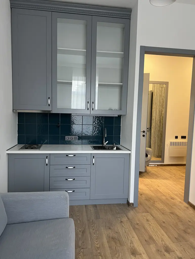 2 room apartment for rent in mtatsminda