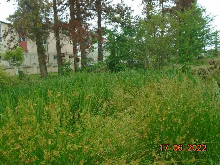 statment-img-0.5492436810654282