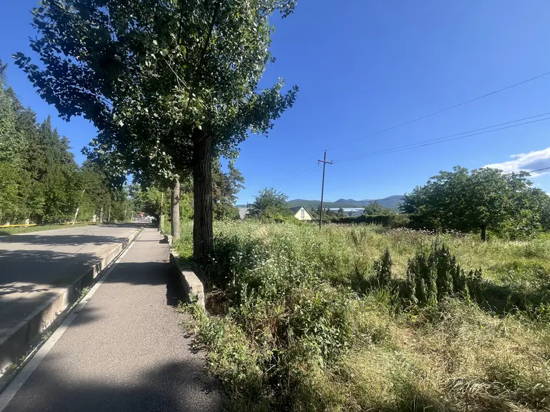 Agricultural plot for sale in sagarejo