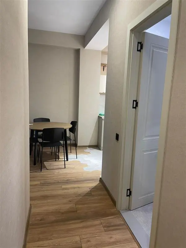 2 room apartment for rent in tbilisi