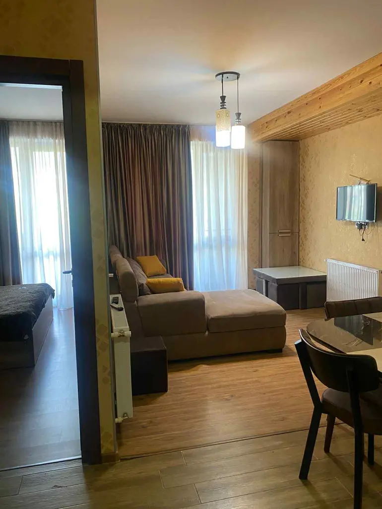 2 room apartment for sale in bakuriani