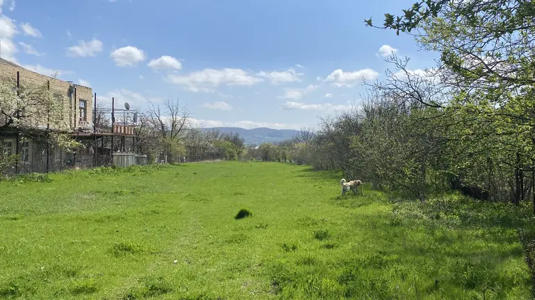 Agricultural plot for sale in dusheti municipality