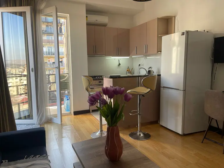 2 room apartment for rent in vake