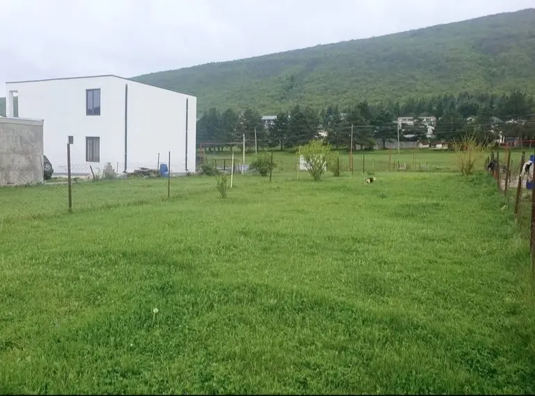 statment-img-0.7300556357588806