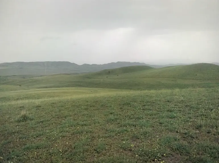 Agricultural plot for sale in signagi