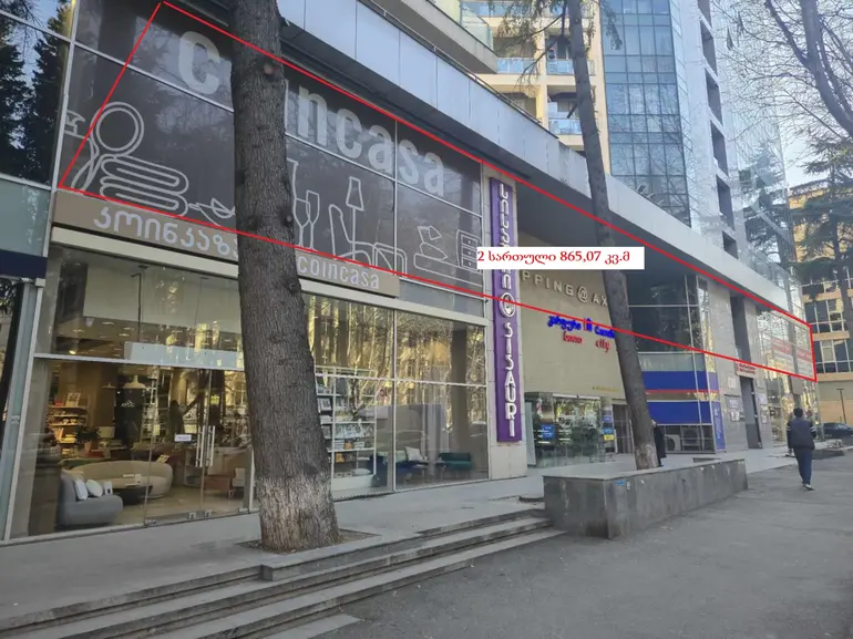 Office commercial area for rent in tbilisi