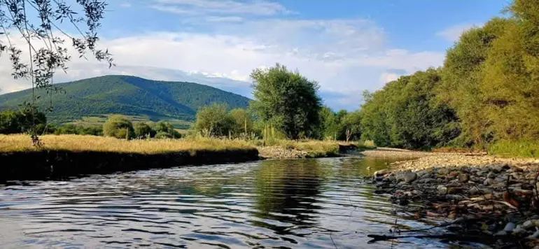 Agricultural plot for sale in tianeti municipality