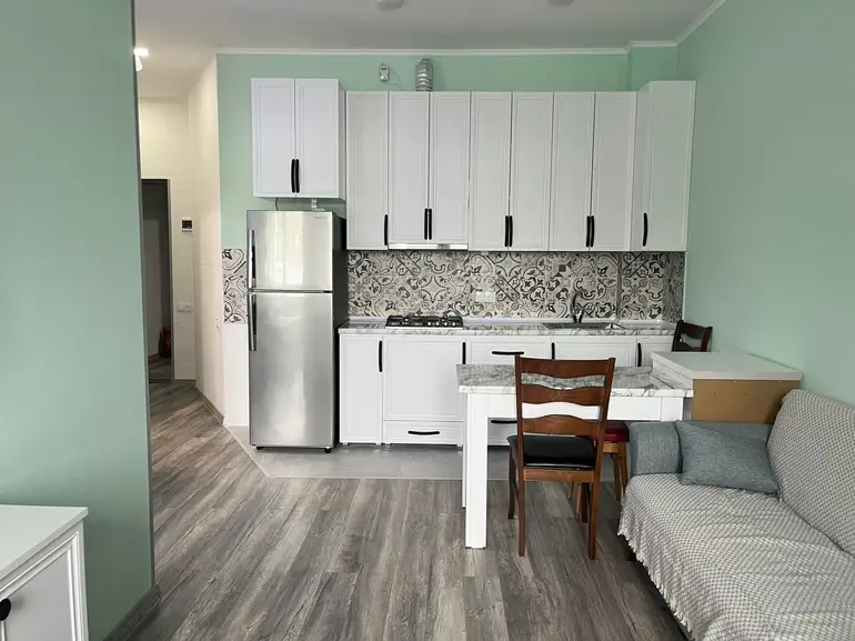 2 room apartment for rent in tbilisi