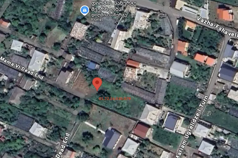 Agricultural plot for sale in didi digomi