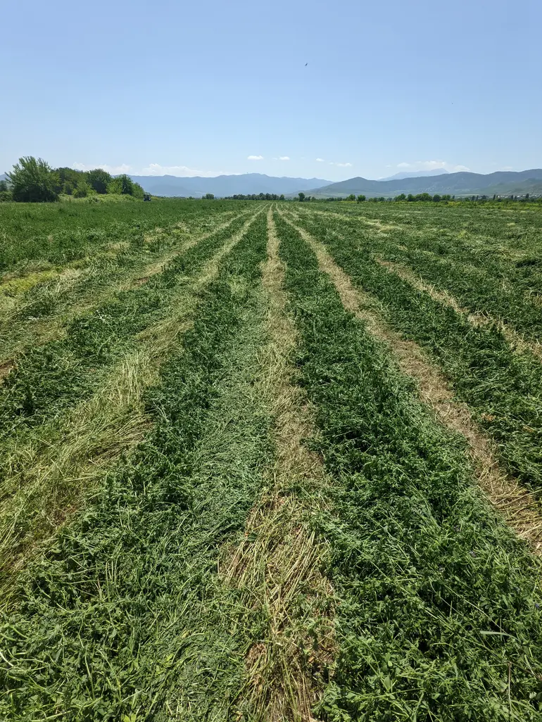 Agricultural plot for sale in marneuli municipality