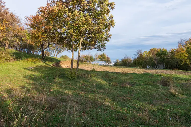 Non-agricultural plot for sale in lisi lake