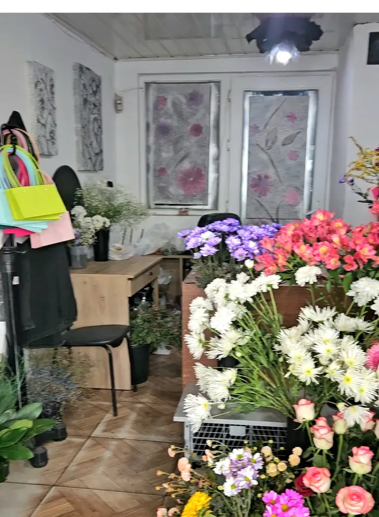 statment-img-0.3040225915786572