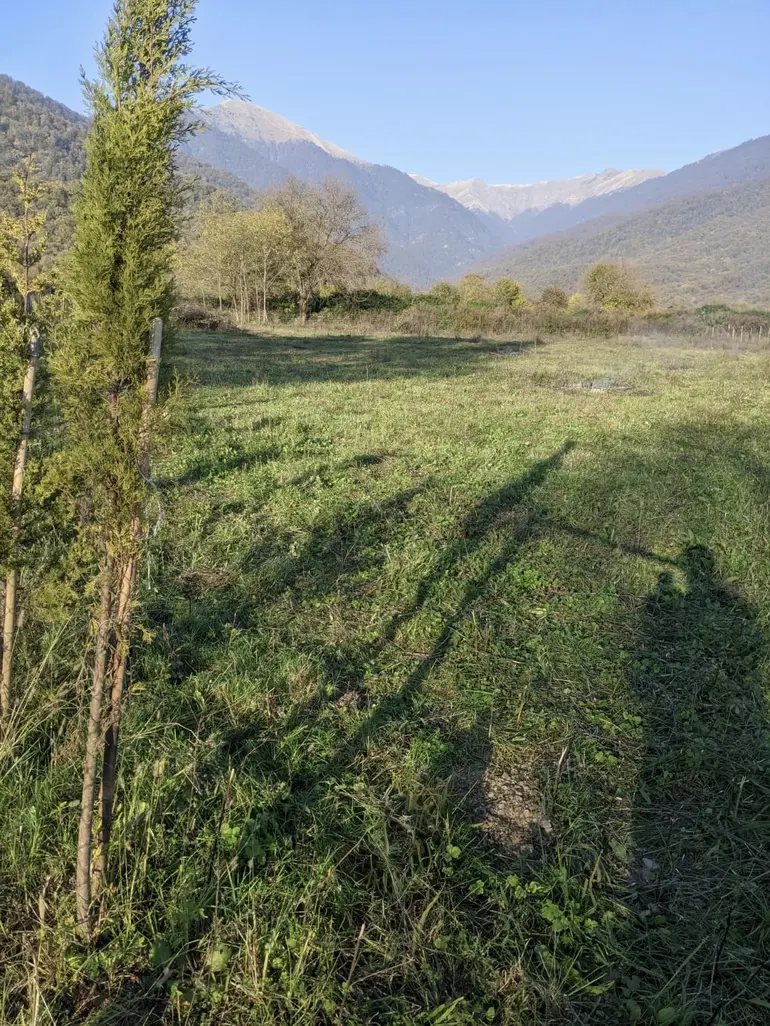 Agricultural plot for sale in lagodekhi municipality