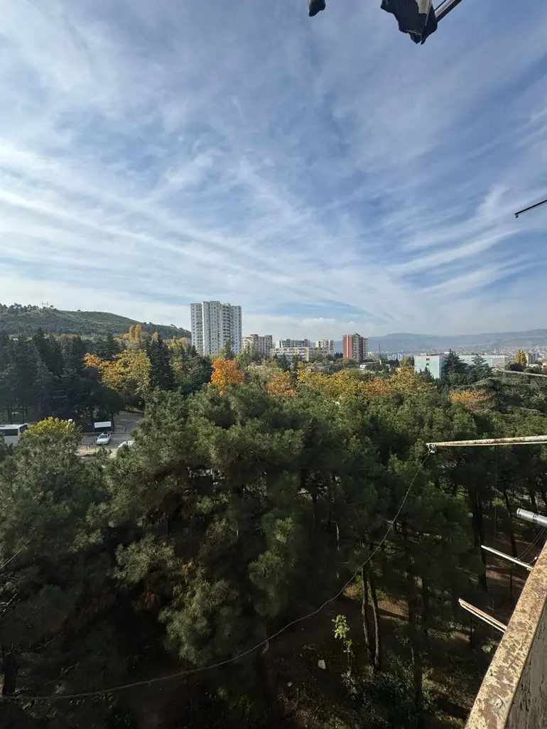 იყიდება 1 ოთახიანი ბინა თემქაზე