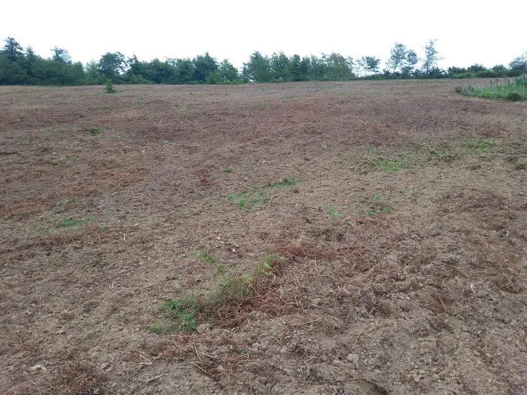 statment-img-0.19850330206986633