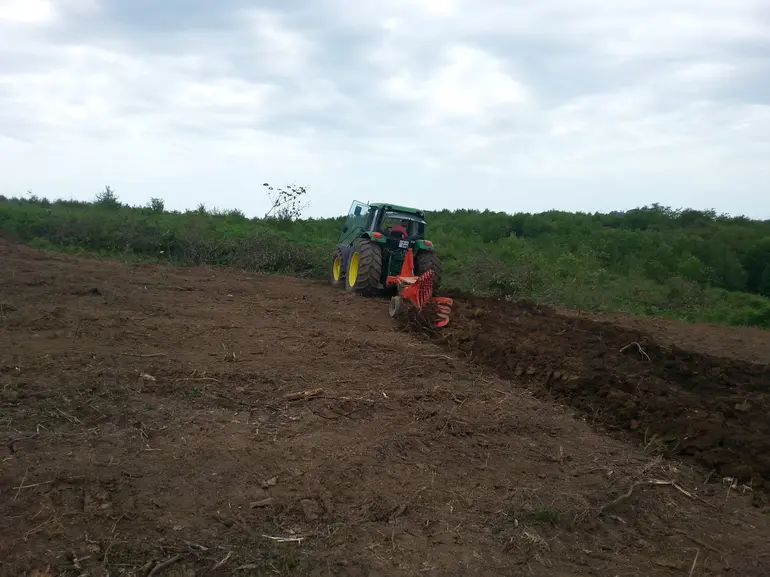 statment-img-0.5647254995718252