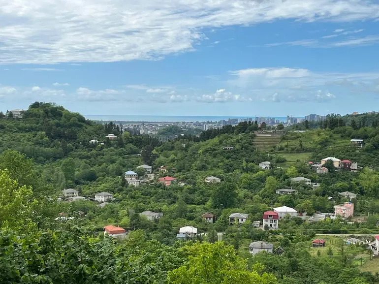 statment-img-0.7447185383911492