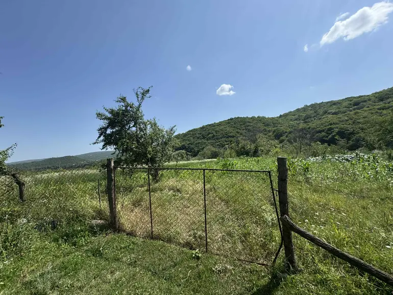 Agricultural plot for sale in tetritskaro