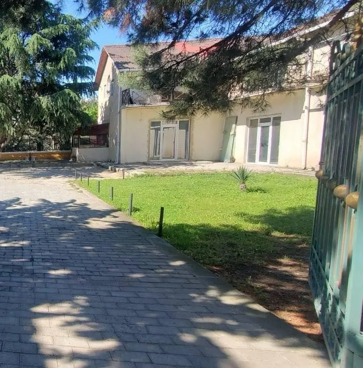 statment-img-0.43134926160605014