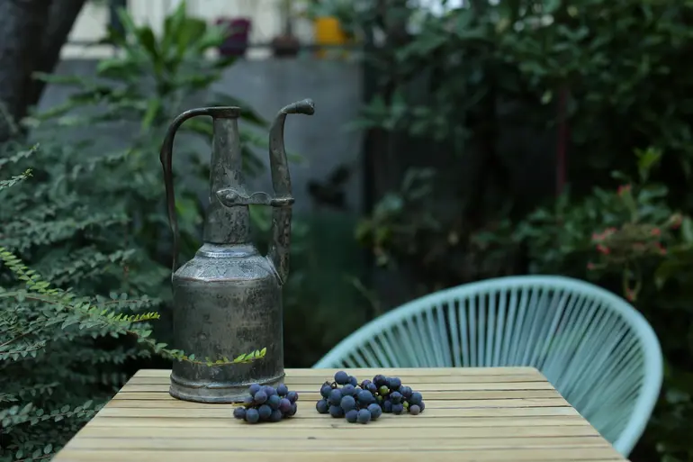 3 room apartment for rent in mtatsminda