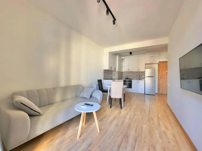 2 room apartment for rent in saburtalo