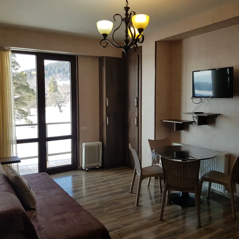 2 room apartment for rent in bakuriani