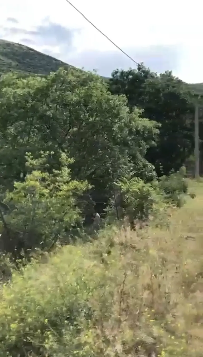 Agricultural plot for sale in sop. dighomi