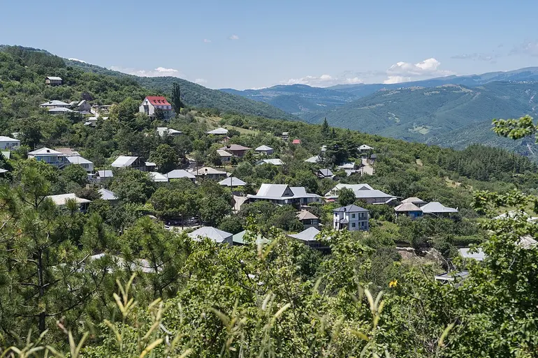 Agricultural plot for sale in tskneti