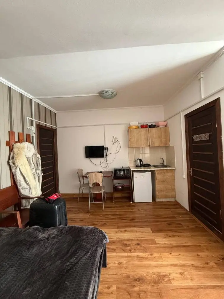 1 room apartment for sale in bakuriani