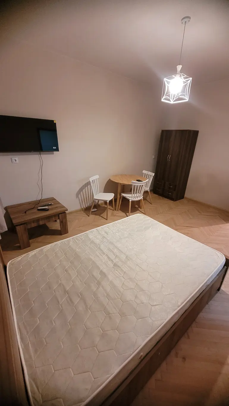 2 room apartment for rent in mtatsminda