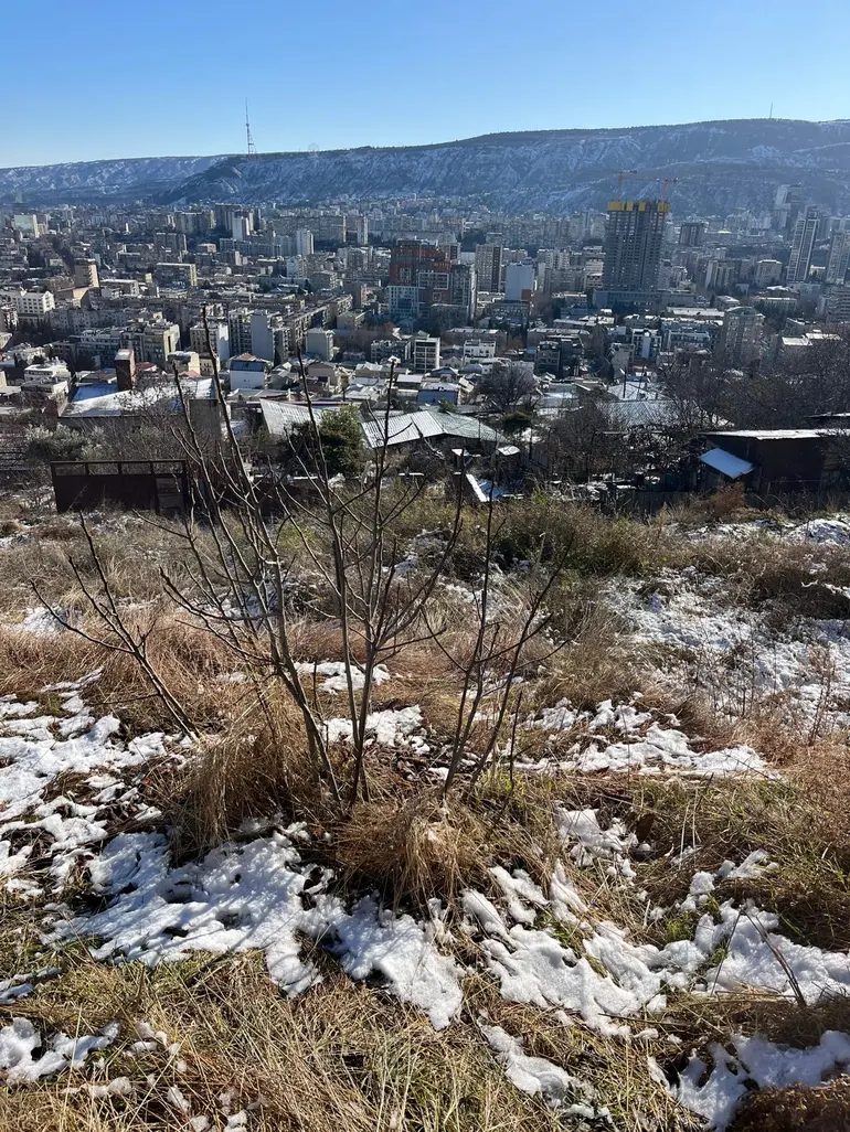 Non-agricultural plot for sale in vedzisi