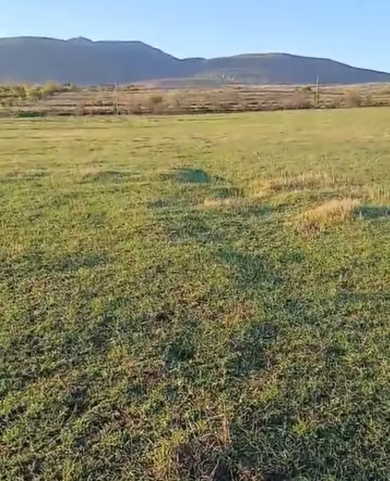 Agricultural plot for sale in kaspi municipality