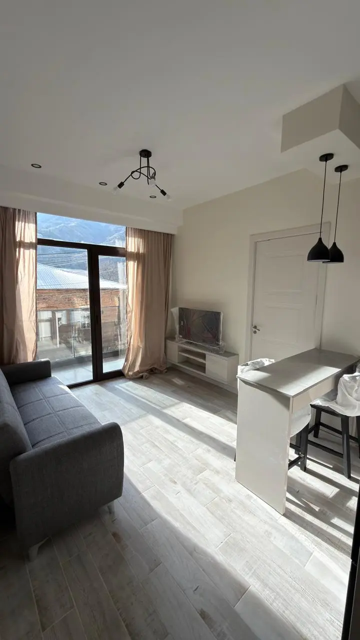 2 room apartment for rent in krtsanisi