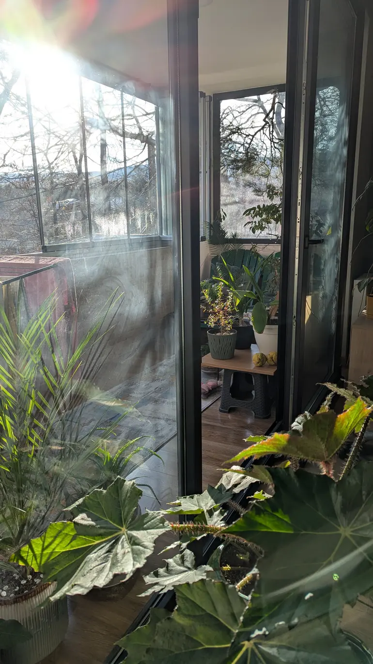 3 room apartment for rent in oqrokana