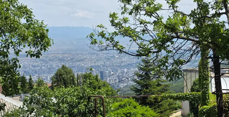 Agricultural plot for sale in tskneti