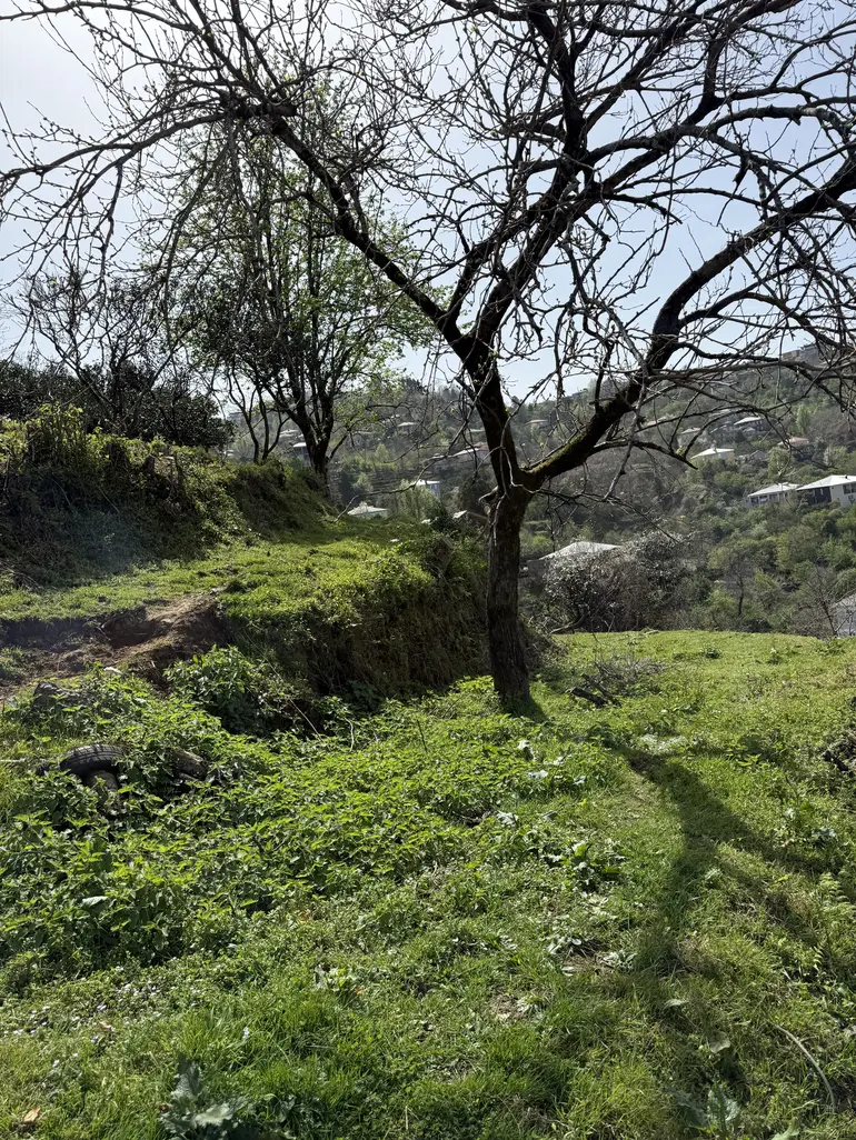 Agricultural plot for sale in khelvachauri municipality