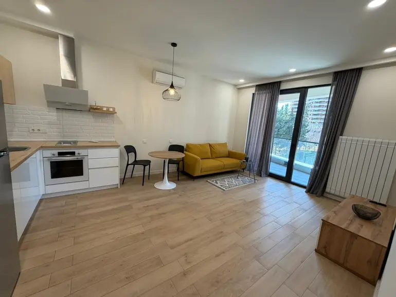 2 room apartment for rent in saburtalo