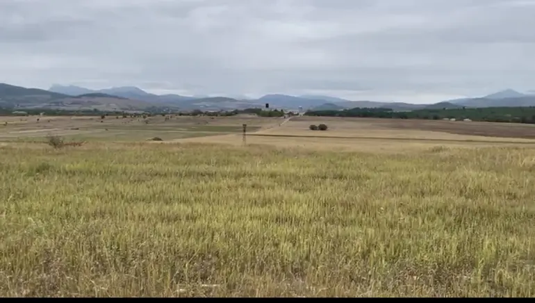 Agricultural plot for sale in dusheti