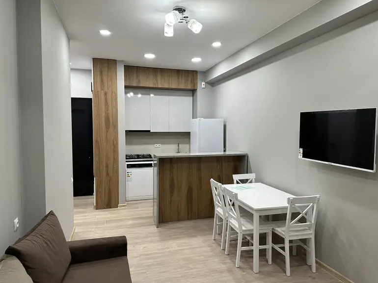 2 room apartment for rent in saburtalo