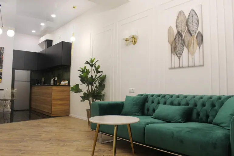 2 room apartment for rent in saburtalo