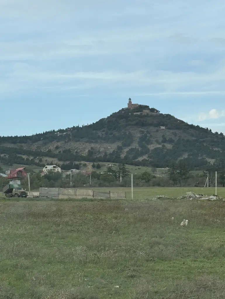 Agricultural plot for sale in gardabani municipality