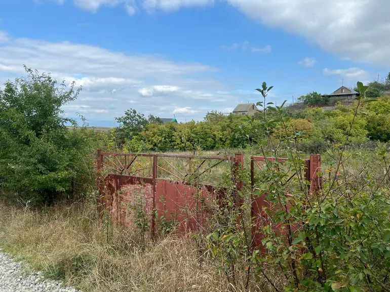 Agricultural plot for sale in kaspi municipality