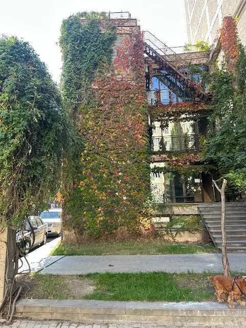 Office commercial area for rent in vake