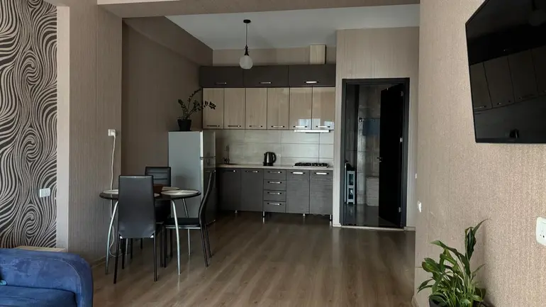 2 room apartment for rent in saburtalo